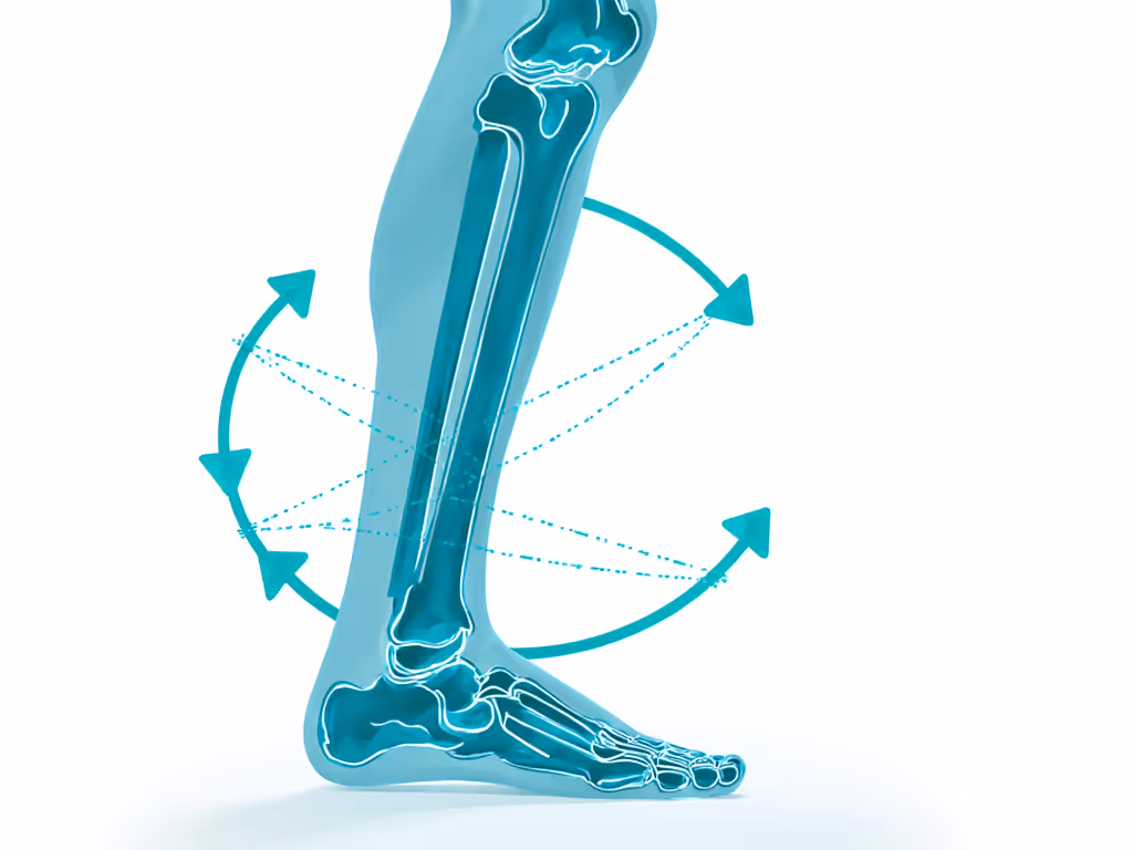 elliptical_closed-chain_motion_biomechanics